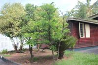 raioluz_3_20130803_1771998077