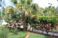 raioluz_8_20130803_1467567603